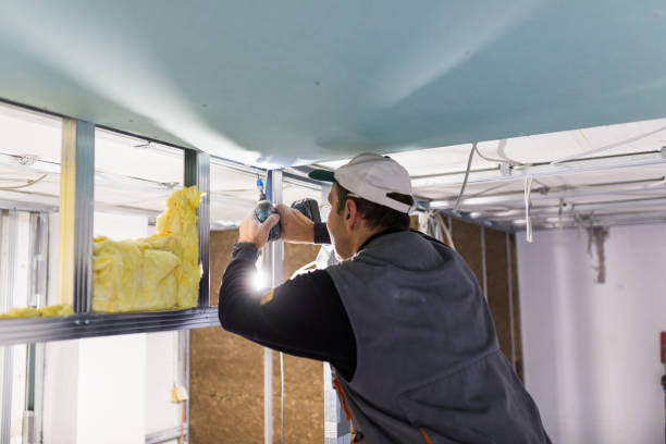 Attic Insulation Near Me in Baxter Village, SC