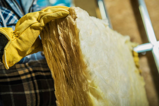 Best Insulation Removal  in Baxter Village, SC