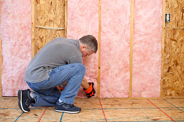 Best Insulation for New Construction  in Baxter Village, SC