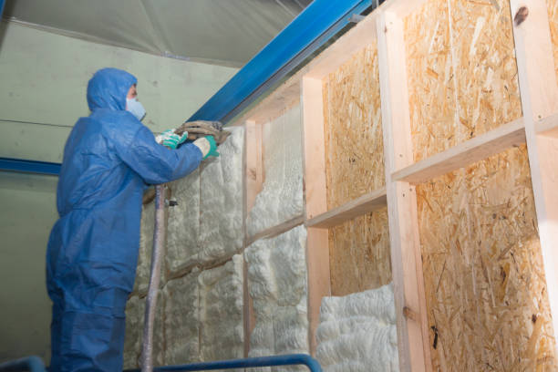 Insulation Inspection Services in Baxter Village, SC